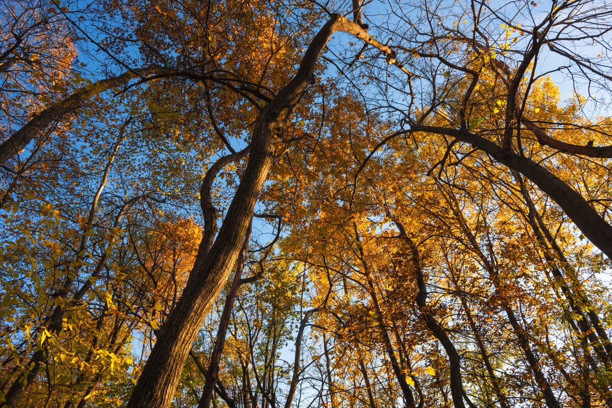 Ebc Fall Colors 42 Scaled