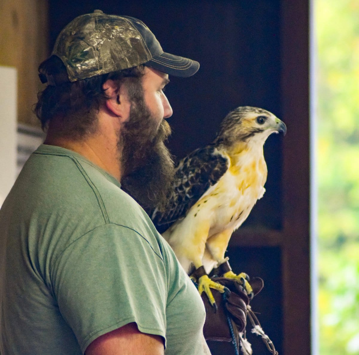 Merrick State Park Raptors 07