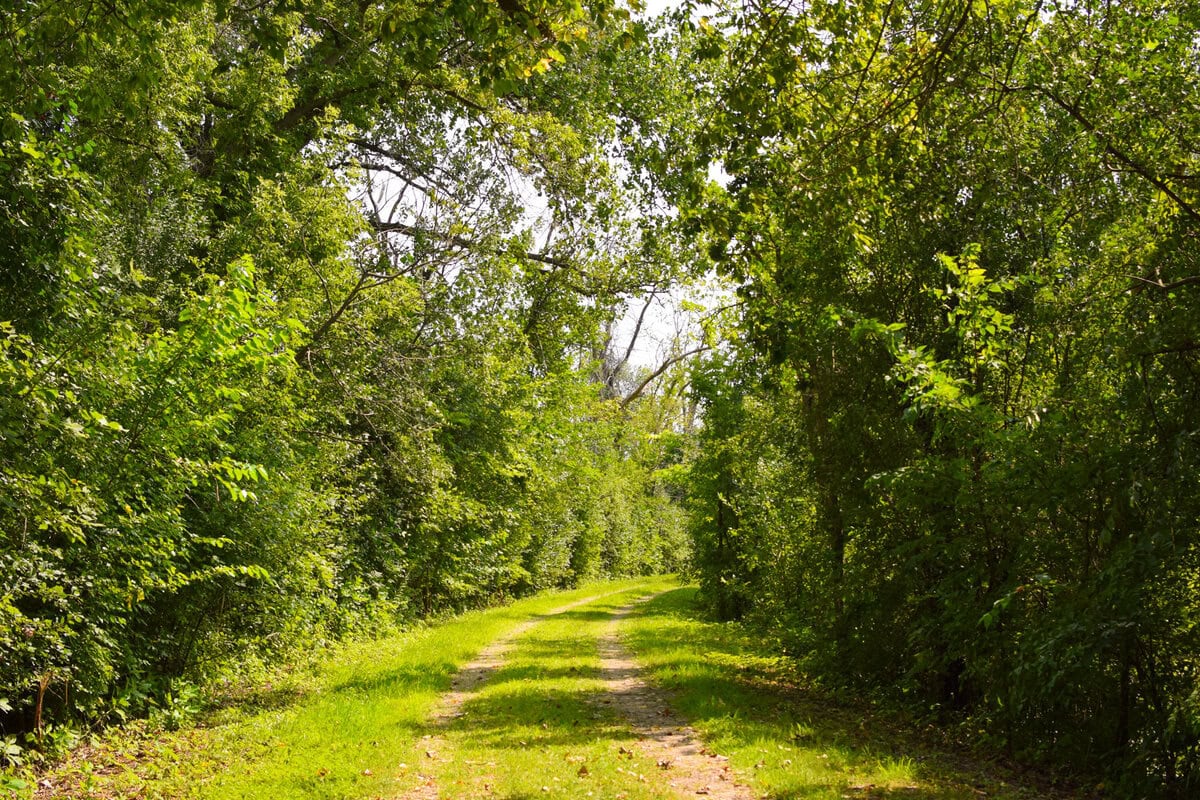 Oxbow Dike Trail 03