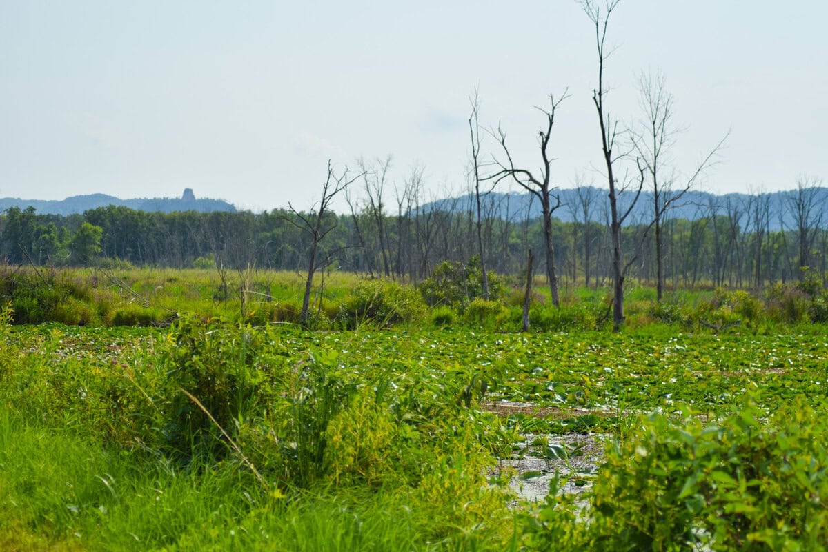 Oxbow Dike Trail 15