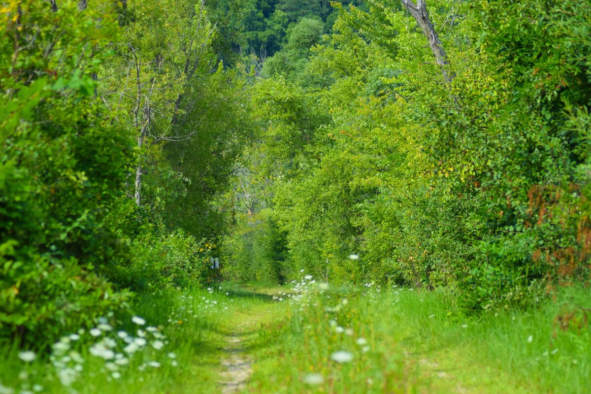 Oxbow Dike Trail 21 1