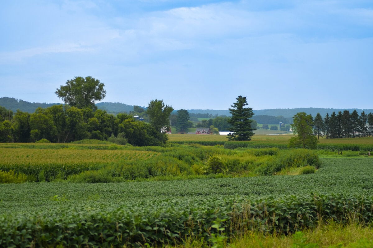 Waumandee Montana - Landscape-11