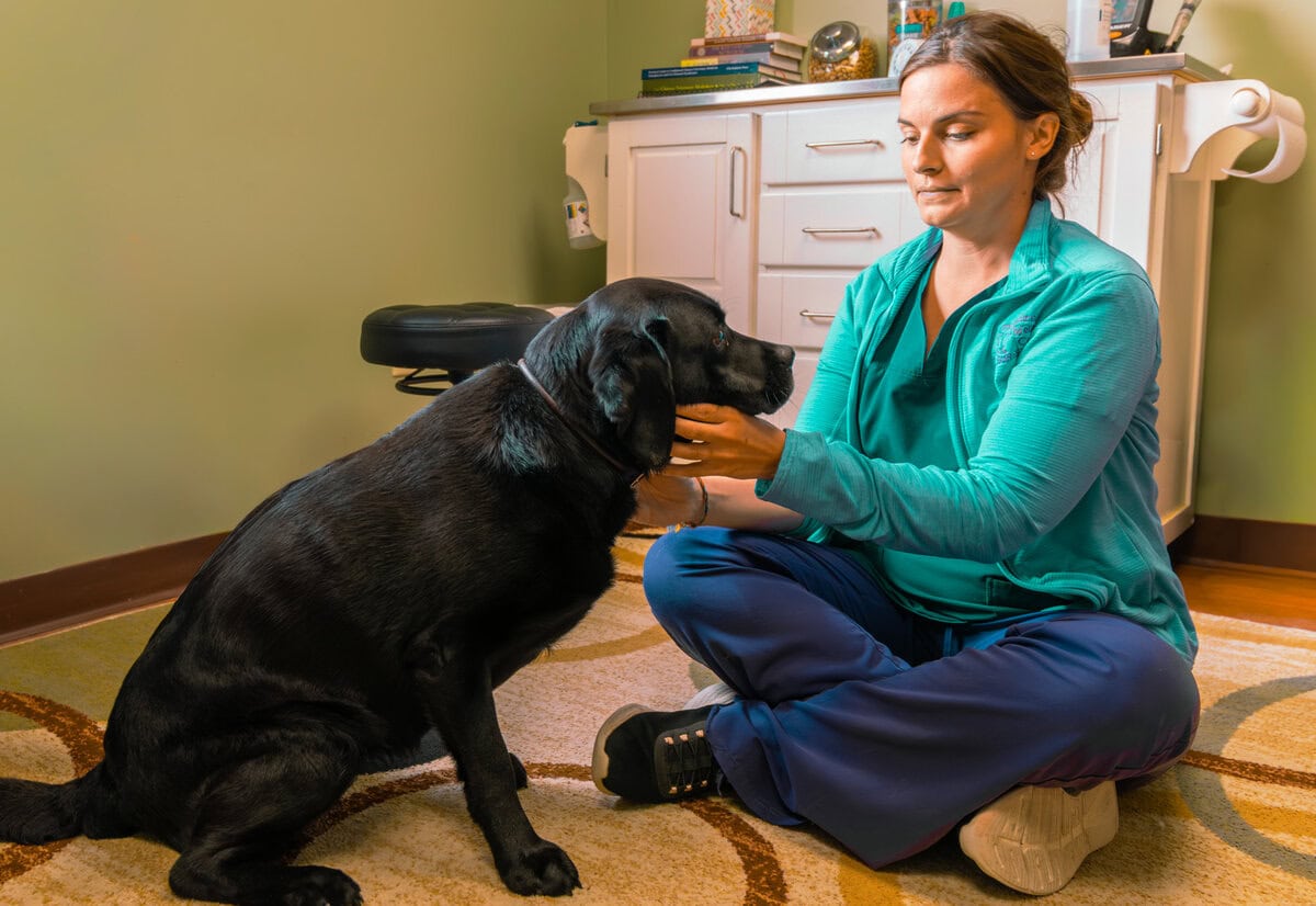 Gilmanton, Wi 5 Animal Wellness Of Buffalo Valley