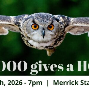 Owls: Whooo Gives A Hoot At Merrick State Park 3 Owls At Merrick Park