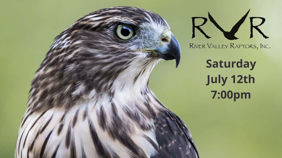 Raptors