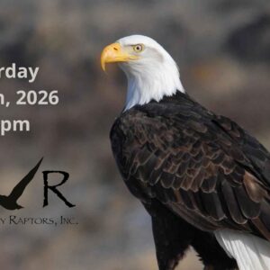 River Raptors Merrick Park